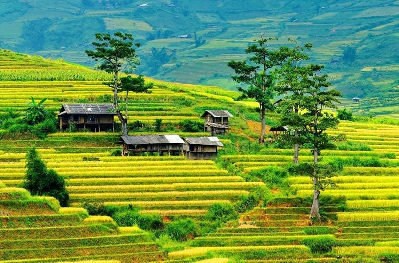 Xe đạp qua mùa lúa Mai Châu, không gian xanh mát